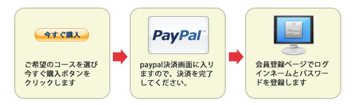 flow_paypal02